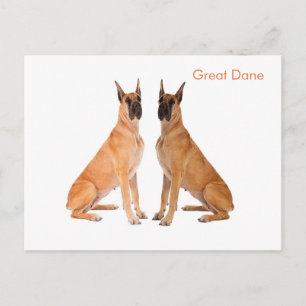 Carte postale
