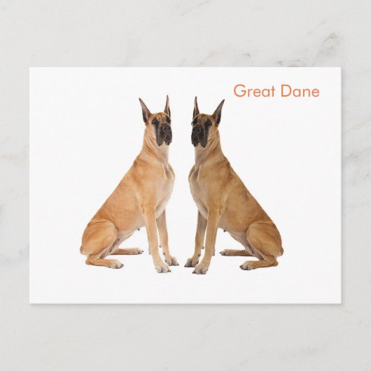 Carte postale (Devant)