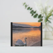 Carte postale (Debout devant)