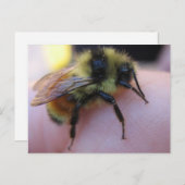 Carte postale (Devant / Derrière)