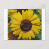 Carte postale (Devant)