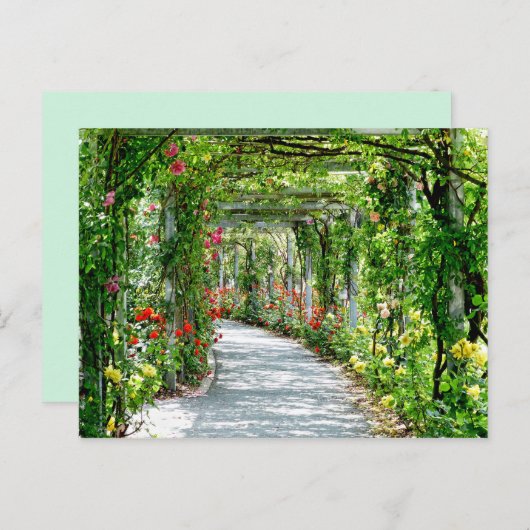 carte postale (Devant / Derrière)