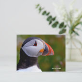 Carte postale (Debout devant)