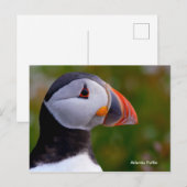 Carte postale (Devant / Derrière)