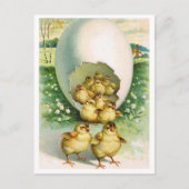 Carte postale (Devant)