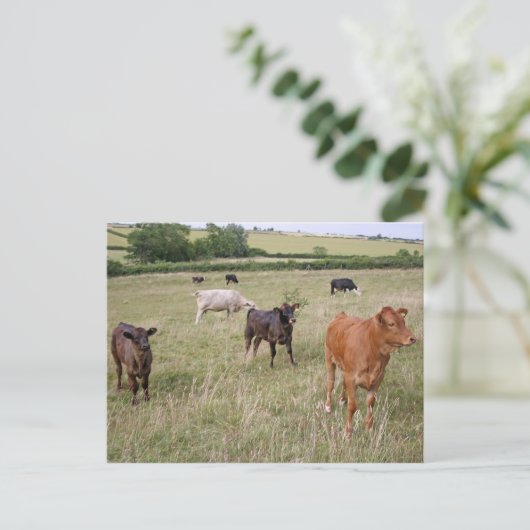 carte postale (Debout devant)