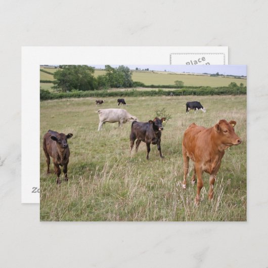 carte postale (Devant / Derrière)