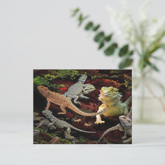 carte postale (Debout devant)