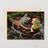 carte postale (Devant / Derrière)