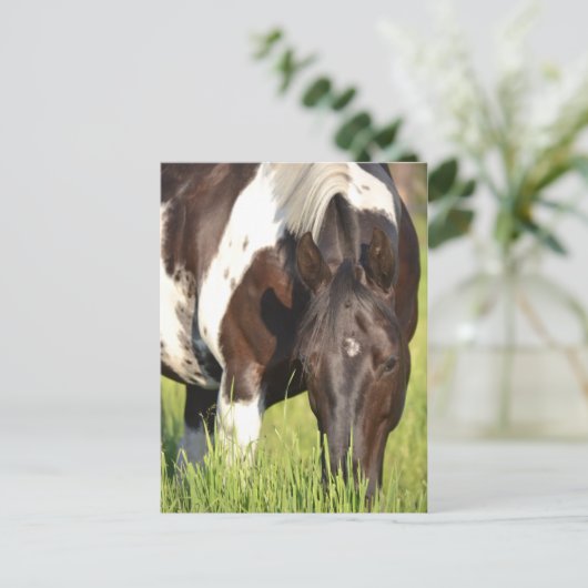 carte postale (Debout devant)