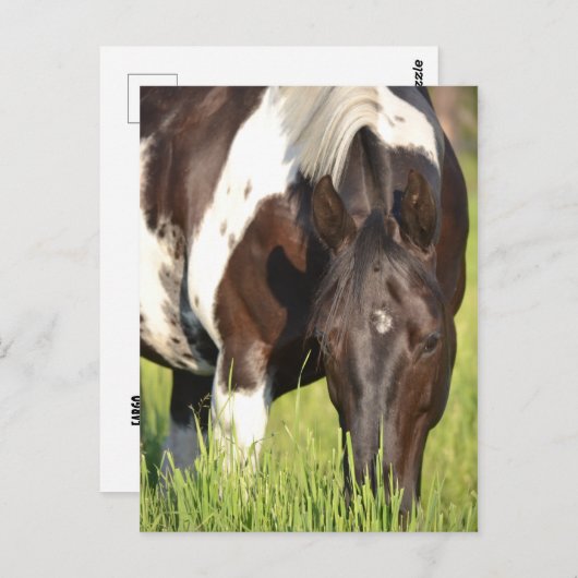 carte postale (Devant / Derrière)