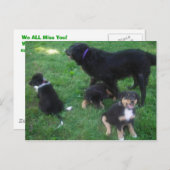 Carte postale (Devant / Derrière)