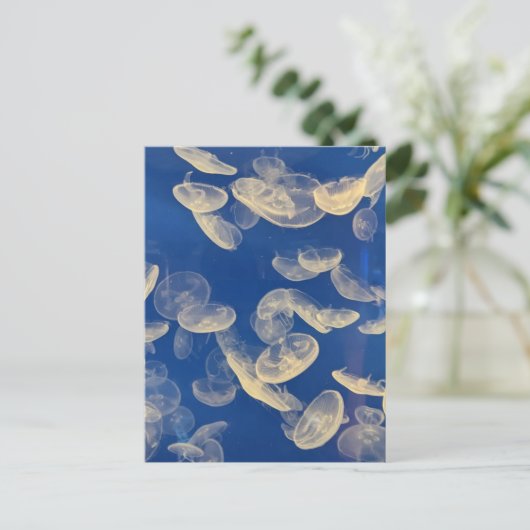 Carte postale (Debout devant)