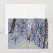 Carte postale (Devant / Derrière)