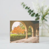 Carte postale (Debout devant)