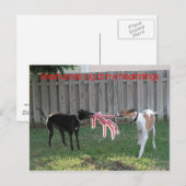 Carte postale (Devant / Derrière)