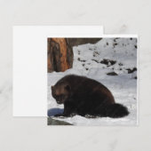 Carte postale (Devant / Derrière)