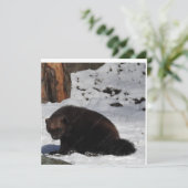 Carte postale (Debout devant)