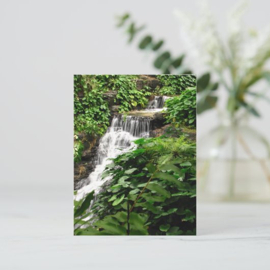 Carte postale (Debout devant)