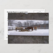 Carte postale (Devant / Derrière)