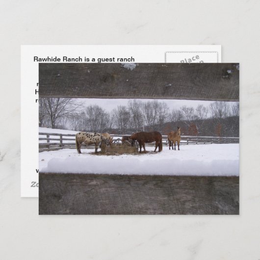 Carte postale (Devant / Derrière)