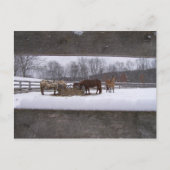 Carte postale (Devant)