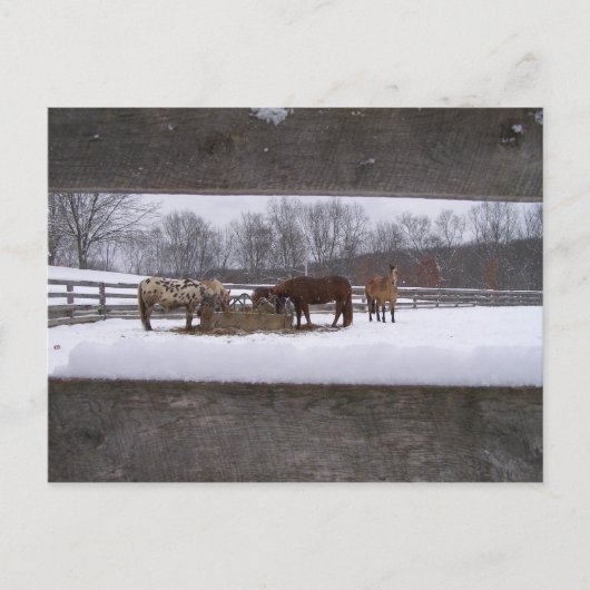 Carte postale (Devant)