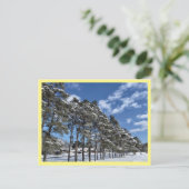 Carte postale (Debout devant)