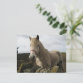 Carte postale (Debout devant)