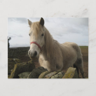Carte postale