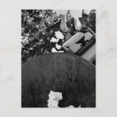 Carte postale (Devant)