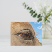 Carte postale (Debout devant)