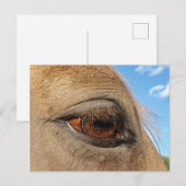 Carte postale (Devant / Derrière)