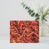 Carte postale (Debout devant)