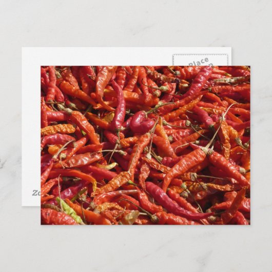 Carte postale (Devant / Derrière)