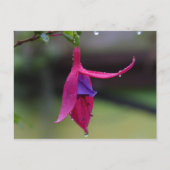 Carte postale (Devant)