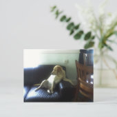 CARTE POSTALE  (Debout devant)