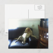 CARTE POSTALE  (Devant / Derrière)