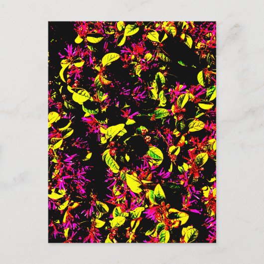 Carte postale (Devant)