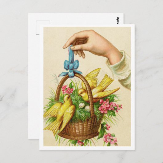 Carte postale (Devant / Derrière)