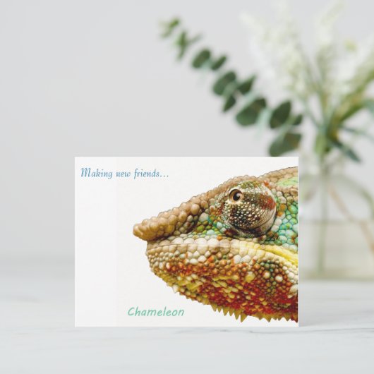 Carte postale (Debout devant)