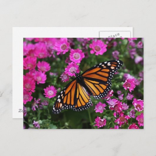 Carte postale (Devant / Derrière)