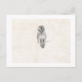 Carte postale (Devant)