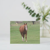 carte postale (Debout devant)