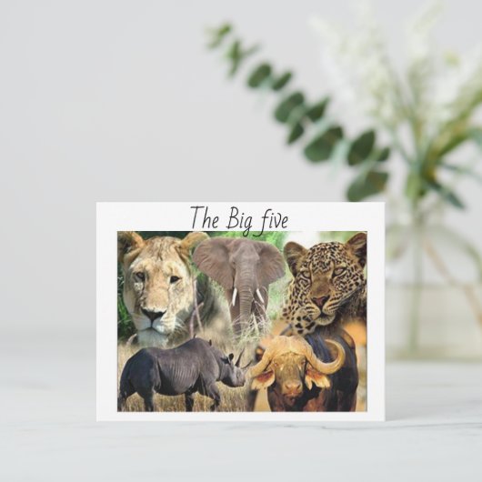 Carte postale (Debout devant)