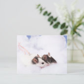 Carte postale (Debout devant)