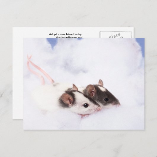 Carte postale (Devant / Derrière)