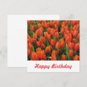 Carte postale (Devant / Derrière)