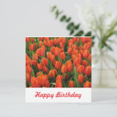 Carte postale (Debout devant)