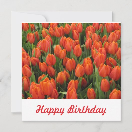 Carte postale (Devant)